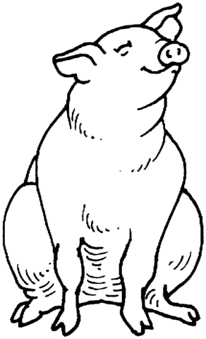 Pig Sits Coloring Page